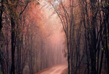 欧博官网:战术板|王钰栋52分钟被犯规5次,请善待国足的希望.