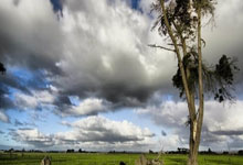 欧博官网:基恩:忘了利物浦吧阿森纳更应担心身后 下赛季他们也没戏.