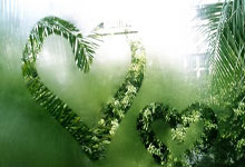 传奇主帅回归!官方:莫耶斯出任埃弗顿主帅,双方签约两年半.