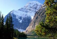 欧博官网:CBA-布朗34分 广厦主场击败广东取得三连胜.